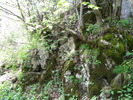 DSCN5332