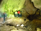 DSCN5339
