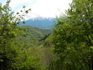DSCN5345