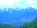 DSCN5358