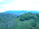 DSCN5359
