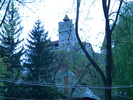 DSCN5379