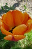 P1040930