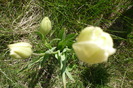 P1040971