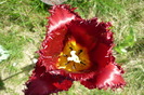 P1040973