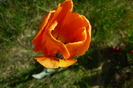 P1040978