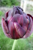 P1050061