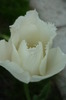 P1050063