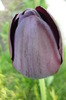 P1050069