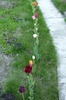 P1050081