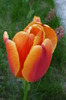 P1050084