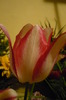 P1050225