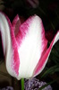P1050237