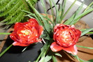 P1050238