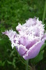P1050253