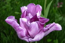 P1050254