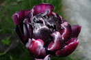 P1050255