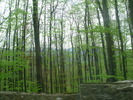 DSCN4160