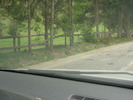 DSCN4190