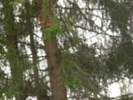 DSCN4192