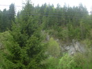DSCN4205