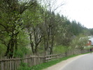DSCN4207