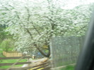 DSCN4220