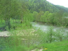 DSCN4222