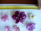 P1260145
