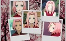 imadethissakurawallpaper