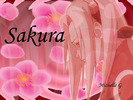 Sakurawallpaper
