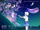 MidnightSakura
