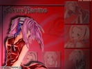 normal_sakura_haruno1