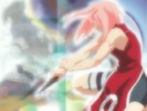 sakurawallpaper03