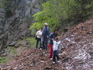 Picture 041