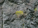 Picture 049