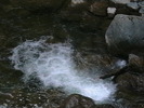 Picture 074