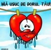 Mi-e dor...^