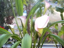 DSC01479