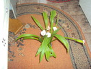 DSC01507