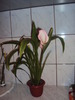DSC01510