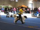 criosmioritic,shepperd,dogs,puppies,mioritic,ciobanesc,kennel 1035