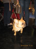 criosmioritic,shepperd,dogs,puppies,mioritic,ciobanesc,kennel 1068