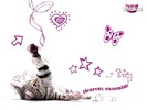chat