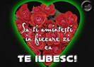 te_iubesc