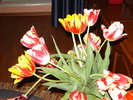 DSC02886