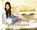 Hannah Montana Wallpaper #20