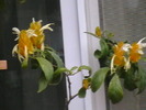 Picture 013