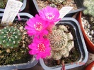DSC08031
