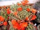 DSC08038